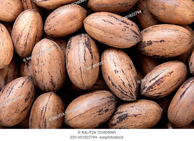 Pecan nuts in shells