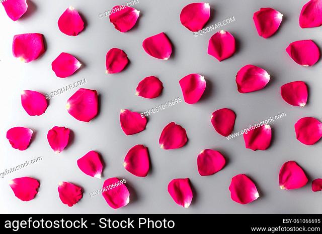 Group of red rose petals on gray background. Mockup for greeting card for valentine, wedding or engagement