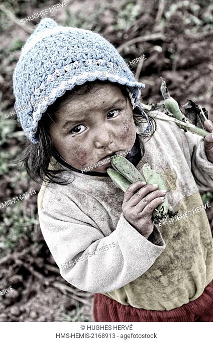 Peru, Cuzco Province, Chinchero, child in a state of great poverty in a bean fields
