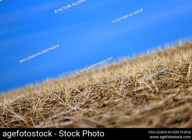 29 August 2022, Bavaria, Waldbrunn: A harvested field lies in the sunshine. Photo: Karl-Josef Hildenbrand/dpa. - Waldbrunn/Bavaria/Germany