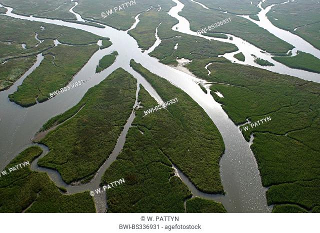 aerial view to branched river scenery Verdronken land van Saeftinghe, Netherlands, Zeeuws-Vlaanderen, Verdronken land van Saeftinghe