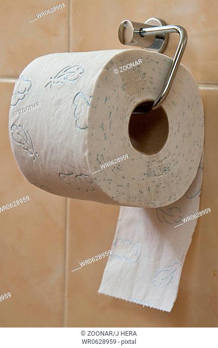 toilet roll holder in bathroom