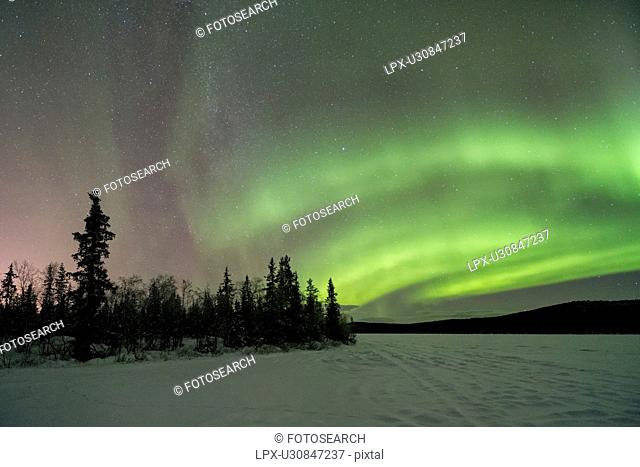Northern lights over pine forest and frozen lake near Kiruna, Sw