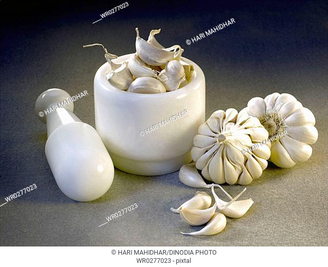 Spices , Bulb Crop or garlic used for adding flavour in cooking