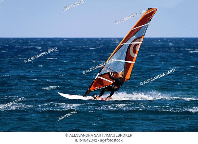 Windsurfer, El Medano, Tenerife, Canary Islands, Spain, Europe