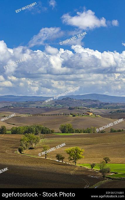 Typical Tuscan landscape near Siena, Tuscany, Italy