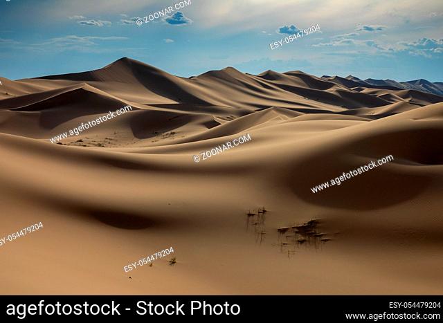 Landscape of the sand dunes Hongoryn Els in Gobi Desert at sunset, Mongolia