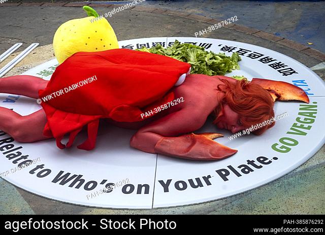 An PETA animal rights activist painted red and dressed as a crab lie on a plate during protest in front of Fish Market in Taipei