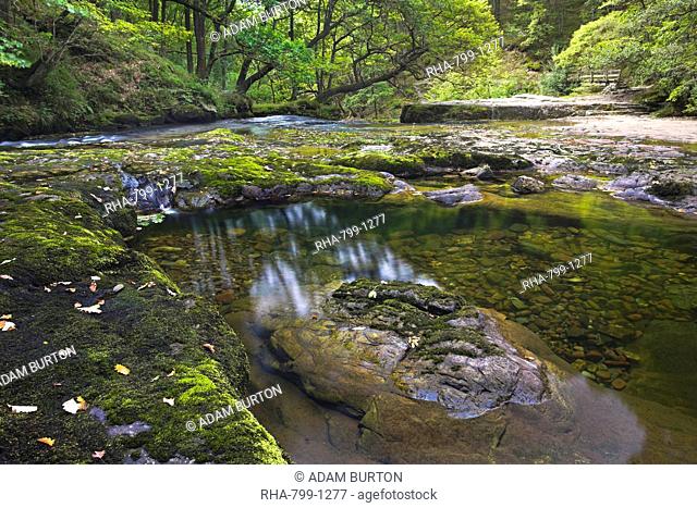 A pool of water on the bed of the Nedd Fechan River in summer, Brecon Beacons National Park, Powys, Wales, United Kingdom, Europe