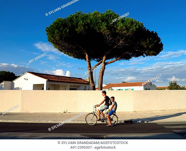France, Poitou-Charente region, Charente maritime departement (17), Re island (Ile de Re), typical local house and pine tree, teenagers passing by on a cycle