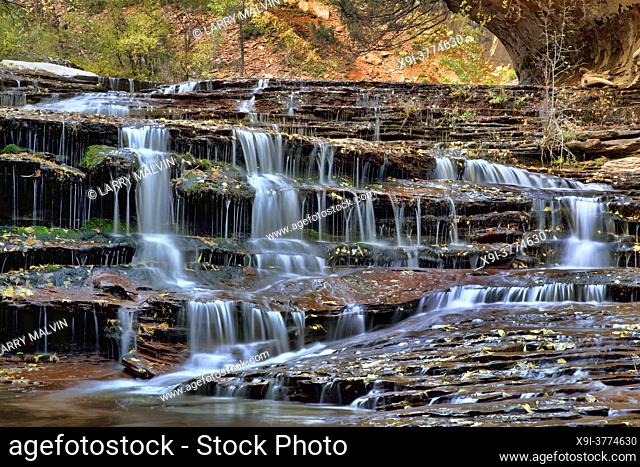 Terraced waterfalls with fall color along the Left Fork of North Creek in the Subway section of Zion National Park, Utah