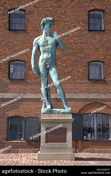 Copy of David made by Michel Angelo in Florence 1503 stands in Copenhagen. Photo: André Maslennikov