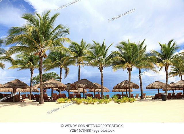Beach, Chankanaab National Park, Cozumel Island, Isla de Cozumel, Quintana Roo, Mexico, Caribbean