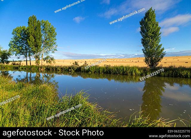 Landscape of a small river and fields in the province of navarra. North of Spain
