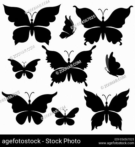 Set Butterflies, Black Silhouettes Isolated on White Background