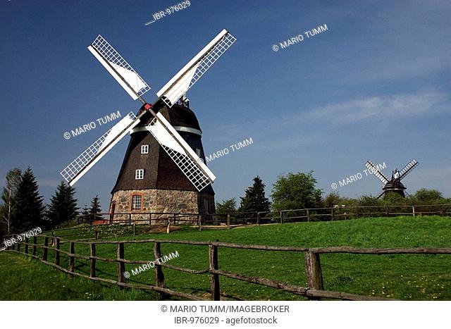 Dutch windmill on the Muehlenberg, Woldegk, Mecklenburg-Western Pomerania, Germany, Europe