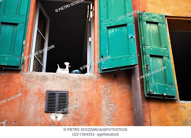 Bologna (Italy): old windows along via Santa Caterina