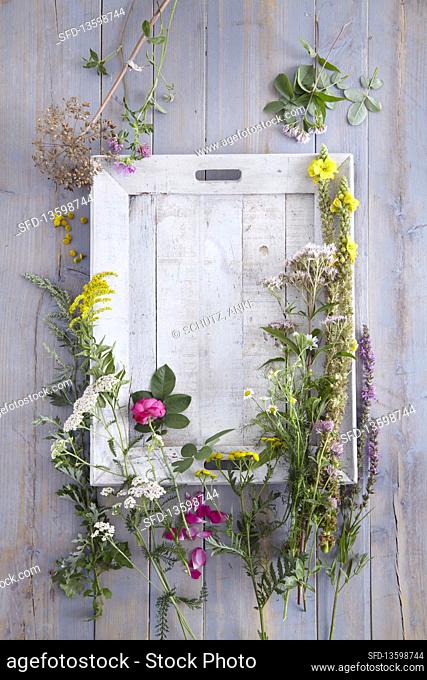 Various herbs with flowers on a wooden background