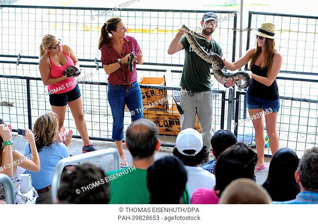 Tourists visit an alligator farm at the Everglades national park and attend a snake show in Florida City, USA, 26 May 2013