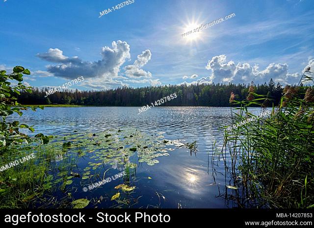 Lake, forest, sky, sun, summer, Eldmörjan, Hunneberg, Vargön, Västra Götalands län, Vastra Gotaland, Sweden