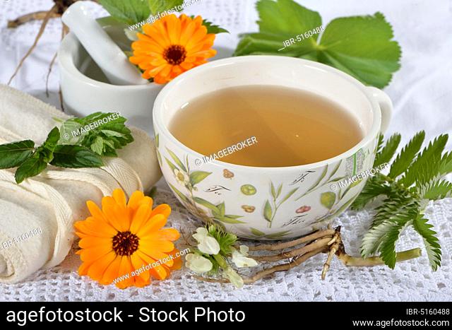 Menstrual cramps tea, calendula (Calendula officinalis), lady's mantle, goose cinquefoil, lemon balm leaves, lemon balm, peppermint leaves, peppermint