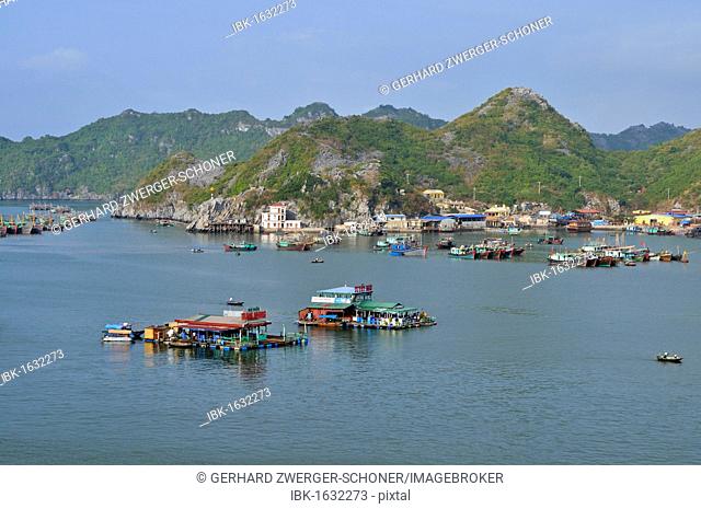 Harbour of Cat Ba, Halong Bay, Vietnam, Southeast Asia