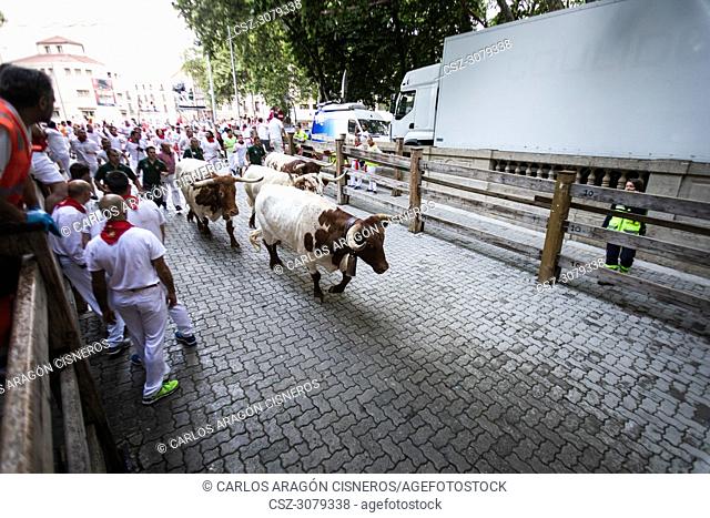 PAMPLONA, SPAIN - JULY 12, 2018: Bulls and people running on the street, encierro, during the festival of San Fermin. Bulls of the cattle ranch of Victoriano...