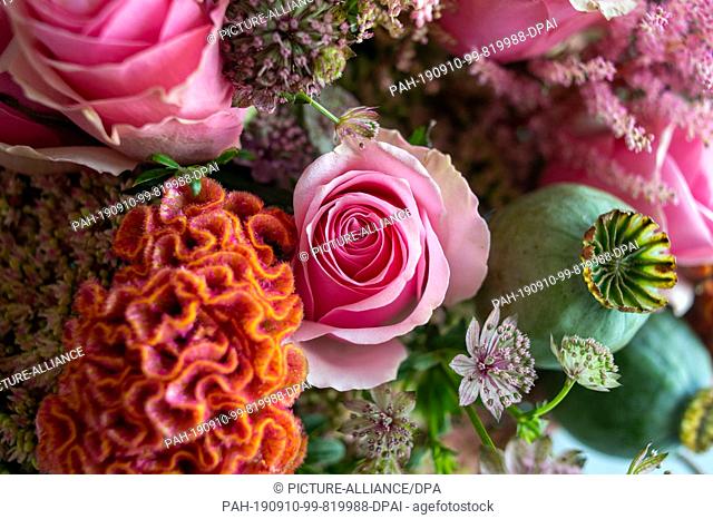 10 September 2019, Saxony-Anhalt, Magdeburg: A bouquet of cockscomb, Astrantia, ""Heidi"" roses and poppy seed capsules. The bouquet had been tied during the...
