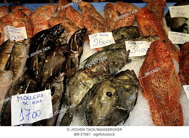 ESP, Spain, Balearic Islands, Mallorca : a fishmonger, Mercat de L'olivar covered market
