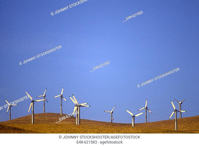 Altamont Pass Wind Farm. California, USA
