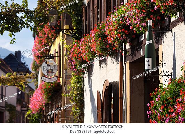 France, Bas-Rhin, Alsace Region, Alasatian Wine Route, Itterswiller, wine town buildings