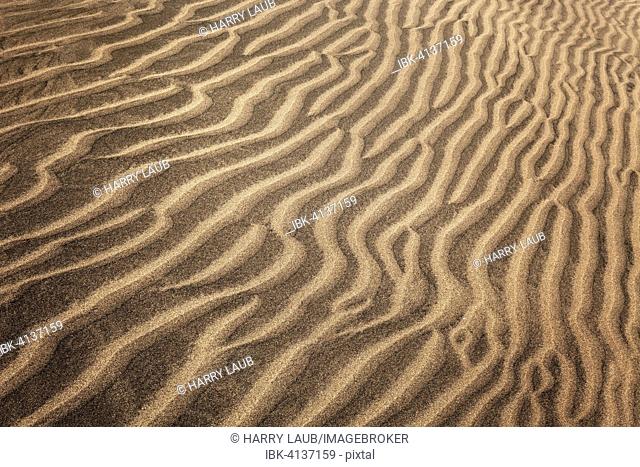 Structures in the sand, dunes of Maspalomas, Nature Reserve, Gran Canaria, Canary Islands, Spain