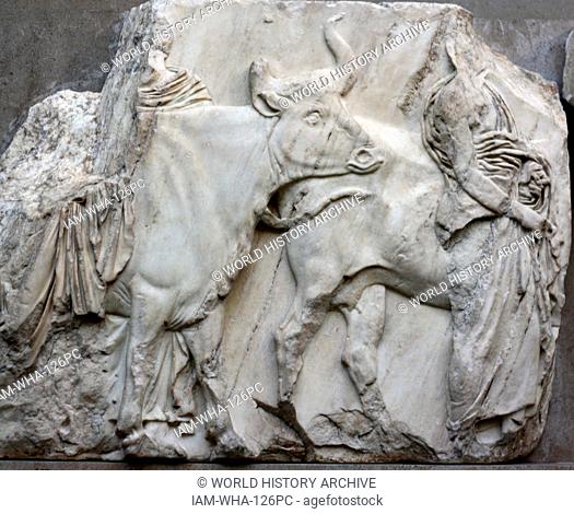 Detail from the Parthenon Frieze. Greek marble sculpture, made between 443-438 BC. The full frieze shows a narrative procession of men, women & horses