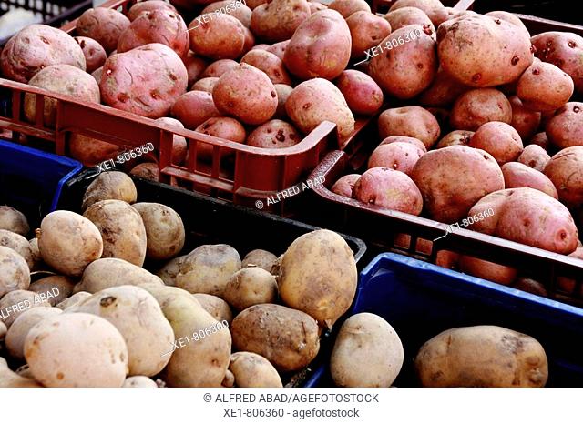 Red and white potatoes in market, Calaf. Barcelona province, Catalonia, Spain