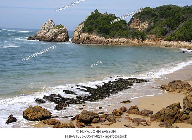 View of beach and rocky coastline, Featherbed Nature Reserve, Knysna, Western Cape, South Africa