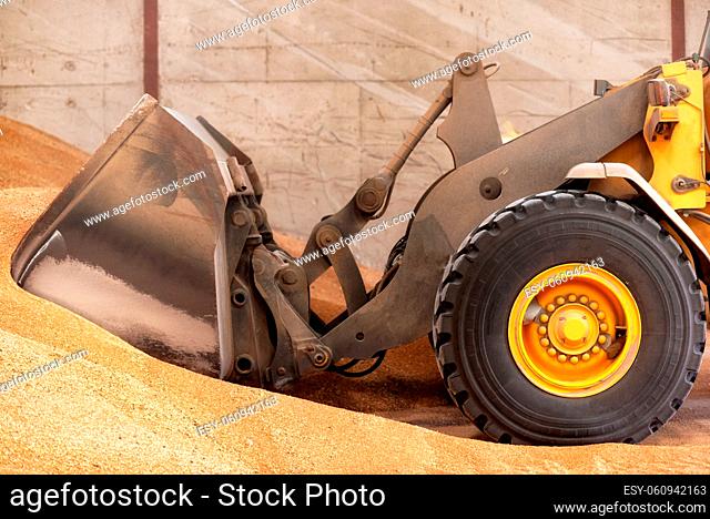 Wheel loader close up, excavator loading sand at construction site
