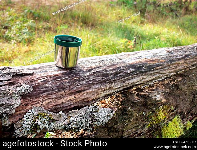 Green plastic thermo stainless steel mug put on a log on sunny day surounded by green grass in a forest