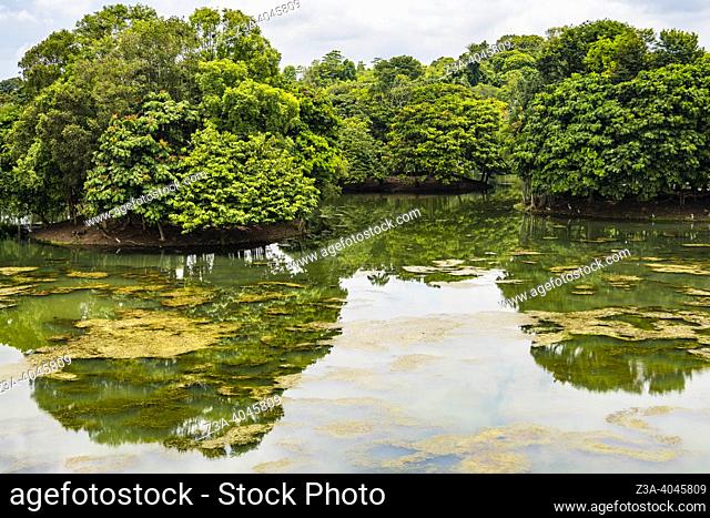 Wetlands in Putrijaya, Malaysia, Asia