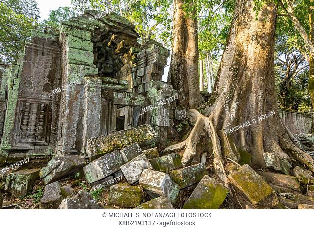 Jungle surrounded ruins at Ta Prohm Temple, Rajavihara, Angkor, Siem Reap Province, Cambodia, Khmer