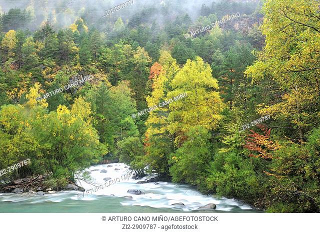 The river Ara. Autumn on Valley of Ordesa and Monte Perdido National Park. Aragonese Pyrenees, Huesca province, Spain