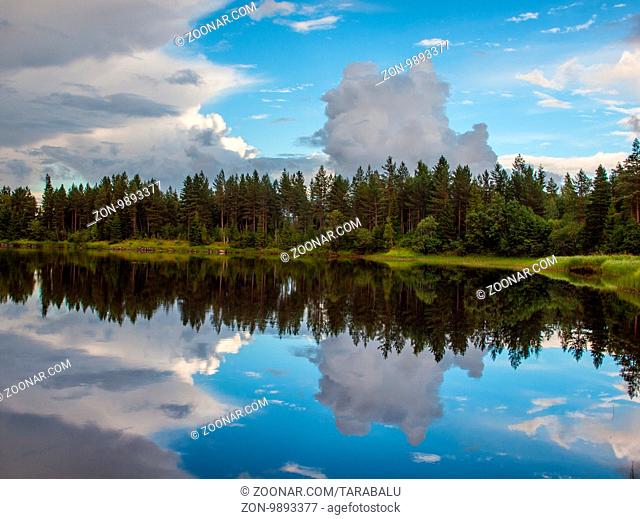 Wasserreiches Waldgebiet in Värmland in Mittelschweden. Genauer Standort: Lissgranstrand am Västerdalälven bei Äppelbo, Malung, Vansbro, Hagfors