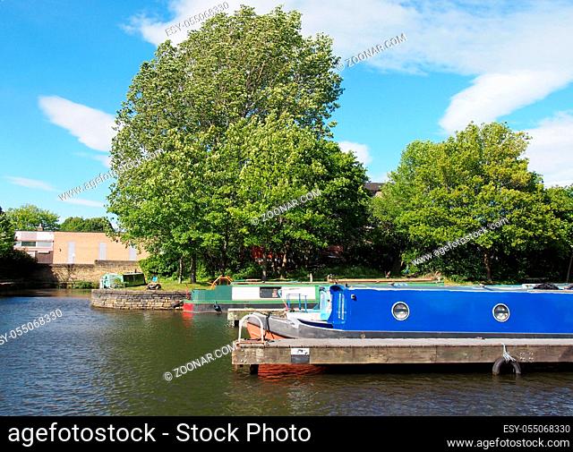old narrow boats converted to houseboats moored in the marina at brighouse basin in west yorkshire surrounded by trees and a bright sunny blue sky
