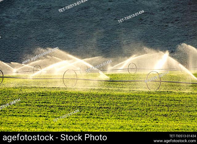 USA, Idaho, Picabo, Irrigation equipment watering new crops
