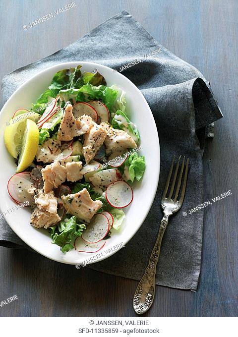 Green salad with poached salmon