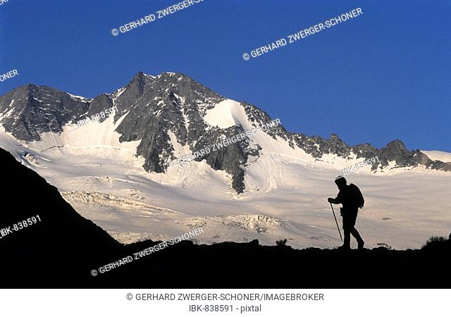 Silhouette of a mountain hiker in front of a glacier in the evening, Zillertal Alps, Tyrol, Austria, Europe