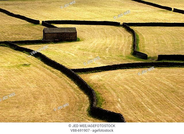 Farm fields and dry stone wall pattern just outside Gunnerside, Swaledale, in Yorkshire, England, UK