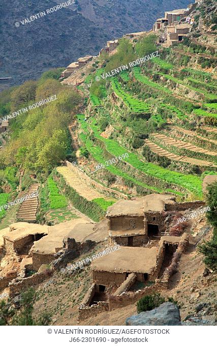 landscape with terraced farming in the valley Arradene. atlas Mountains. Morocco
