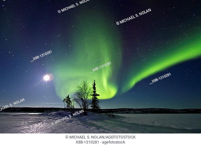 Aurora Borealis Northern Polar Lights and waxing moon over the boreal forest outside Yellowknife, Northwest Territories, Canada