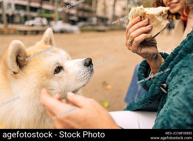 Senior woman holding sandwich and sitting with dog