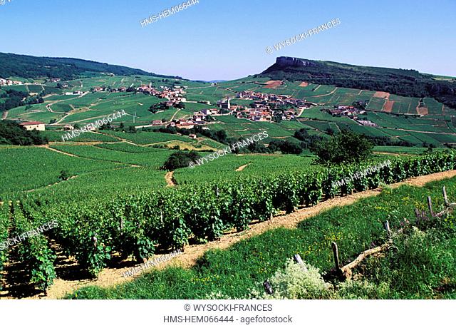 France, Saône-et-Loire (71), Solutré rock and vineyards near Vergisson village